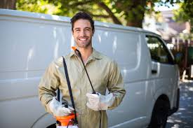 Best Termite Inspection and Treatment  in Prior Lake, MN